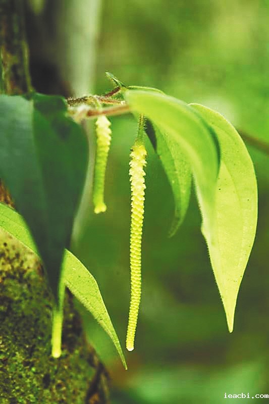 459856_hnrbtp2_1574585249894_s.jpg 459856_hnrbtp2_1574585249894_s.jpg