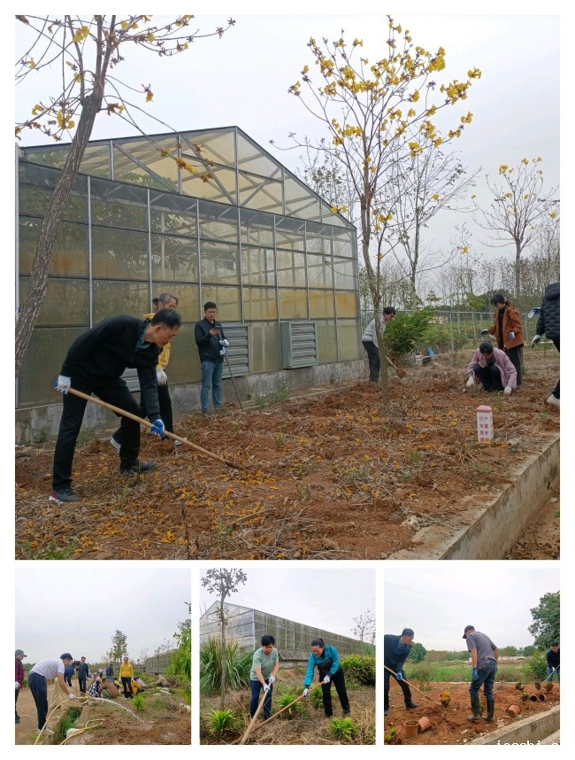 微信图片_20250323204131_副本.jpg 微信图片_20250323204131_副本.jpg