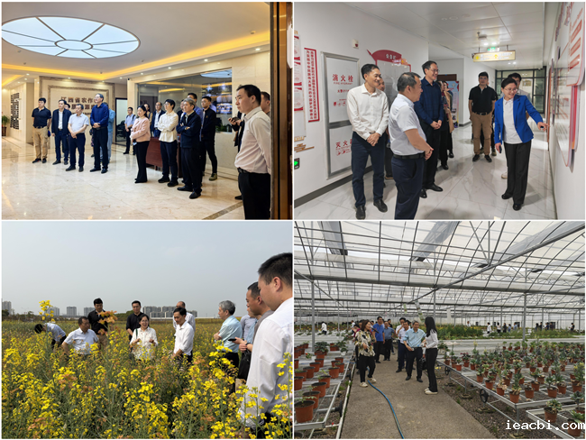 5、参观_副本.png 5、参观_副本.png