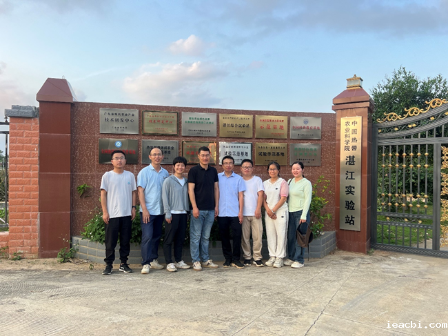 图片2_副本.png 图片2_副本.png