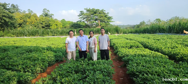 图片1_副本.png 图片1_副本.png