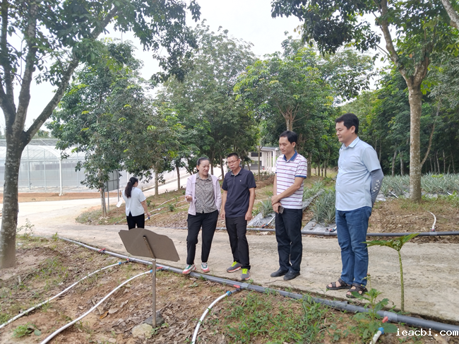 图片3_副本.png 图片3_副本.png