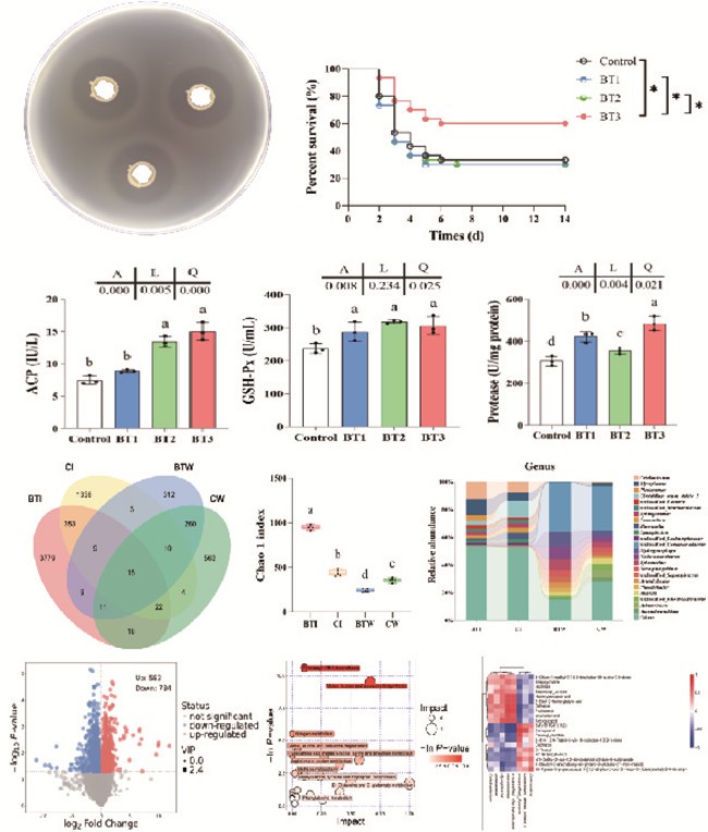 微信图片_20250716170406_副本.jpg 微信图片_20250716170406_副本.jpg